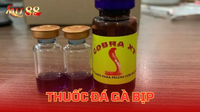 Thủ đoạn dùng thuốc đá gà bịp thường gặp